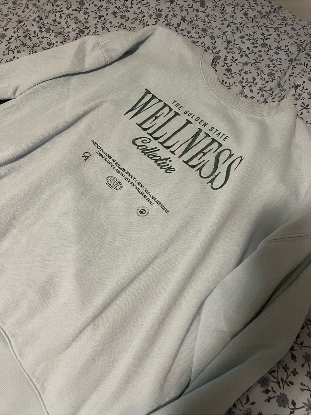Wellness Collective Sweatshirt & Sweatpants Set - Baby Blue - Picture 4 of 8